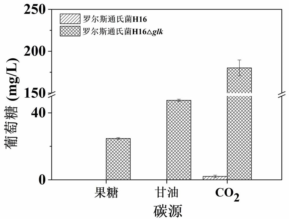 Ralstonia engineering bacteria for producing glucose and fermentation production method