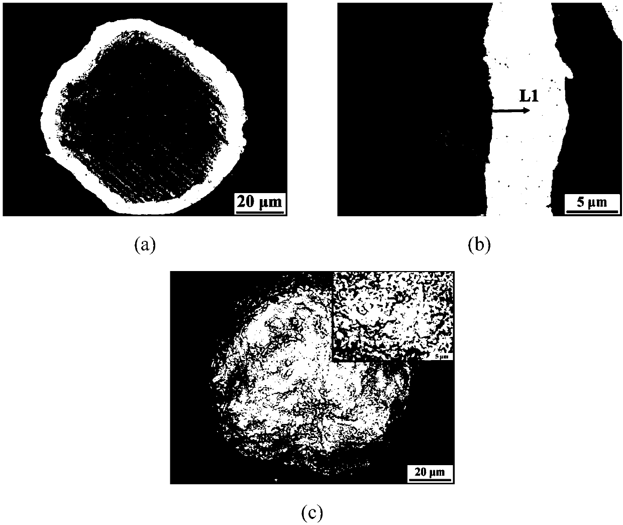 Corrosion-resistant fully dense thermal spraying metal alloy coating and preparation method thereof