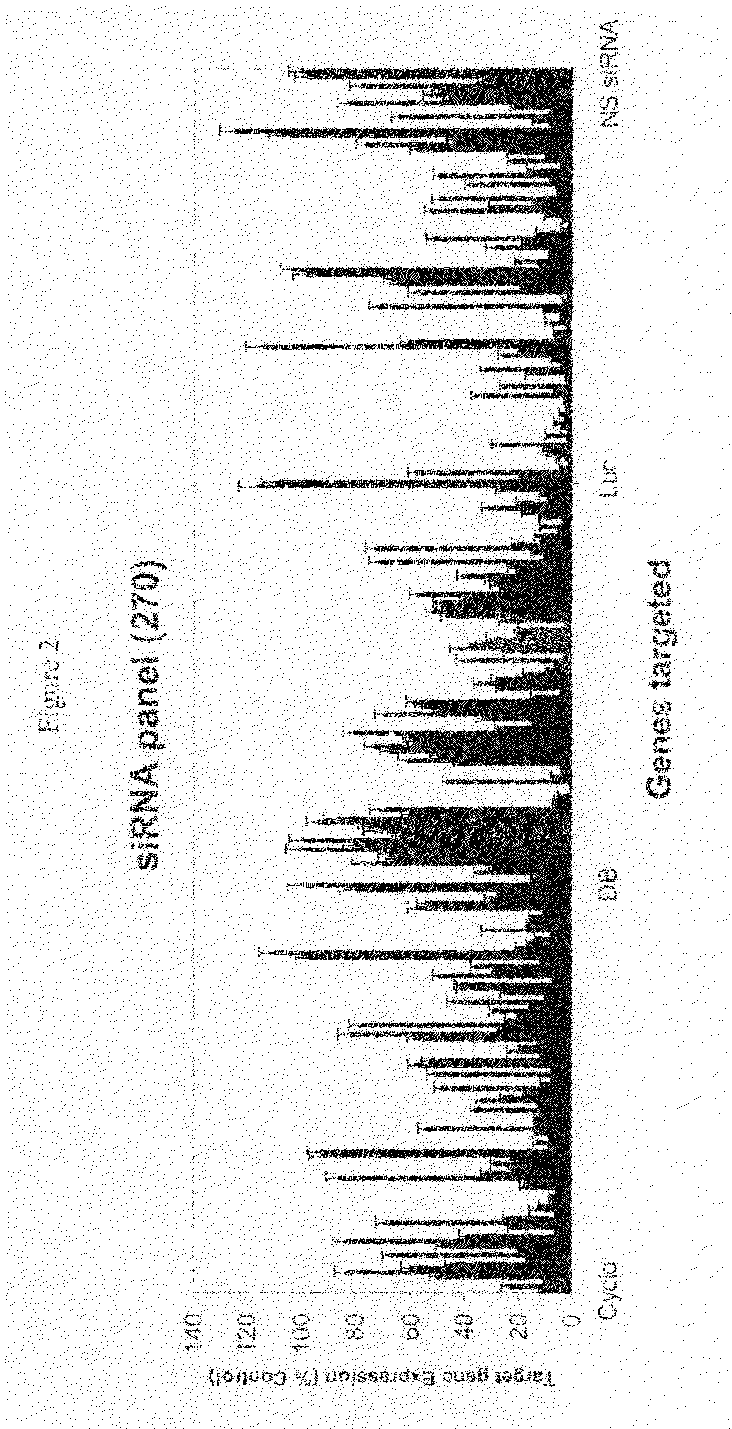 siRNA targeting forkhead box P3 (FOXP3)