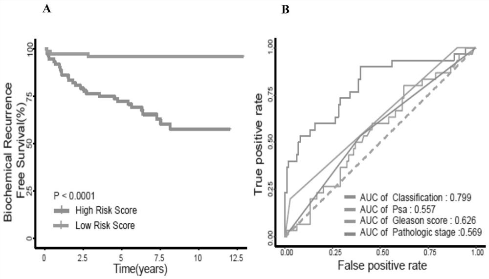 Prostatic cancer circRNA marker and application thereof