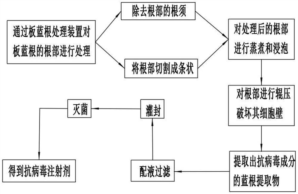 Dog antiviral injection processing system