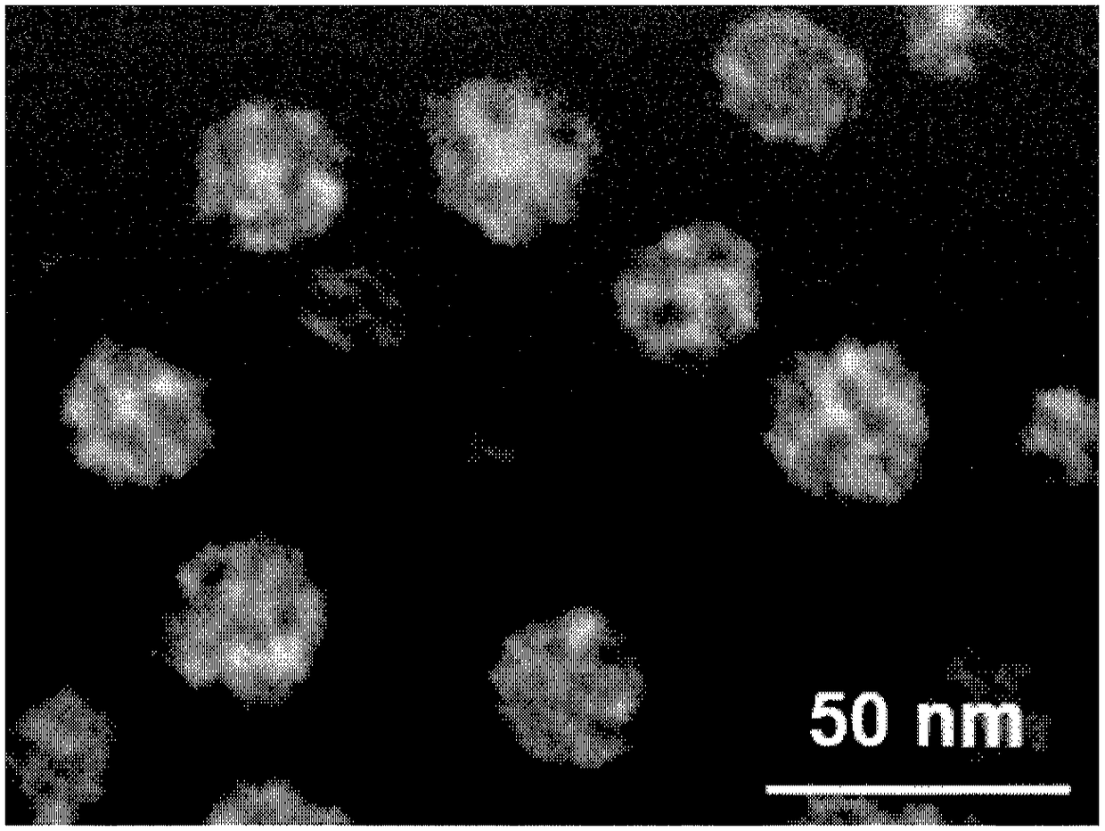 Photoresponsive slow-release polymer nano spice and preparation method thereof