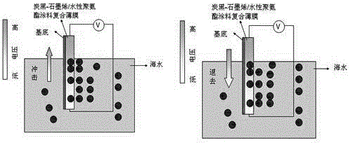 Carbon black-graphene/aqueous polyurethane coating composite conductive thin film based seawater power generation apparatus, and preparation method and application therefor