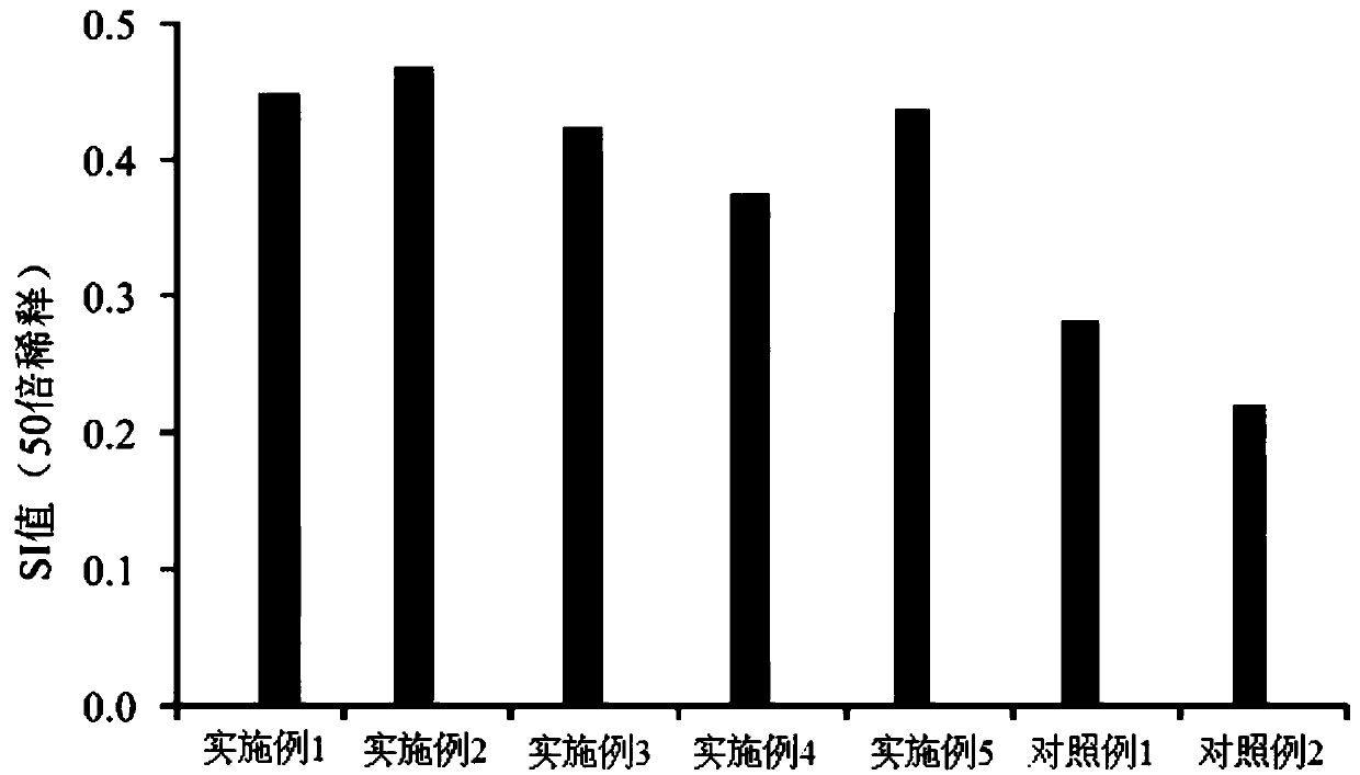 Antrodia camphorata fermented product and preparation method thereof