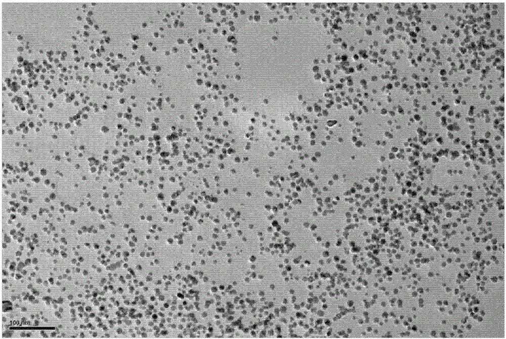 Nanometal particles and preparation method thereof