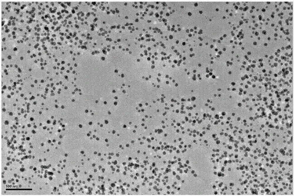 Nanometal particles and preparation method thereof