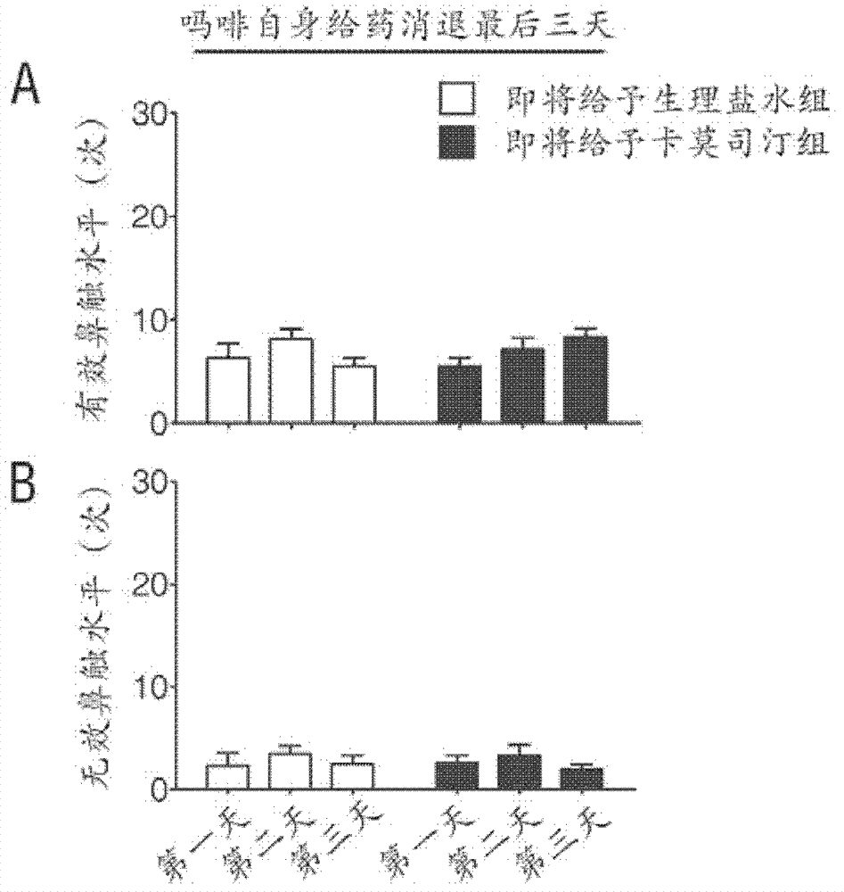 Application of carmustine to prepare drugs for preventing and/or treating psychoactive drug substance dependency and relapse