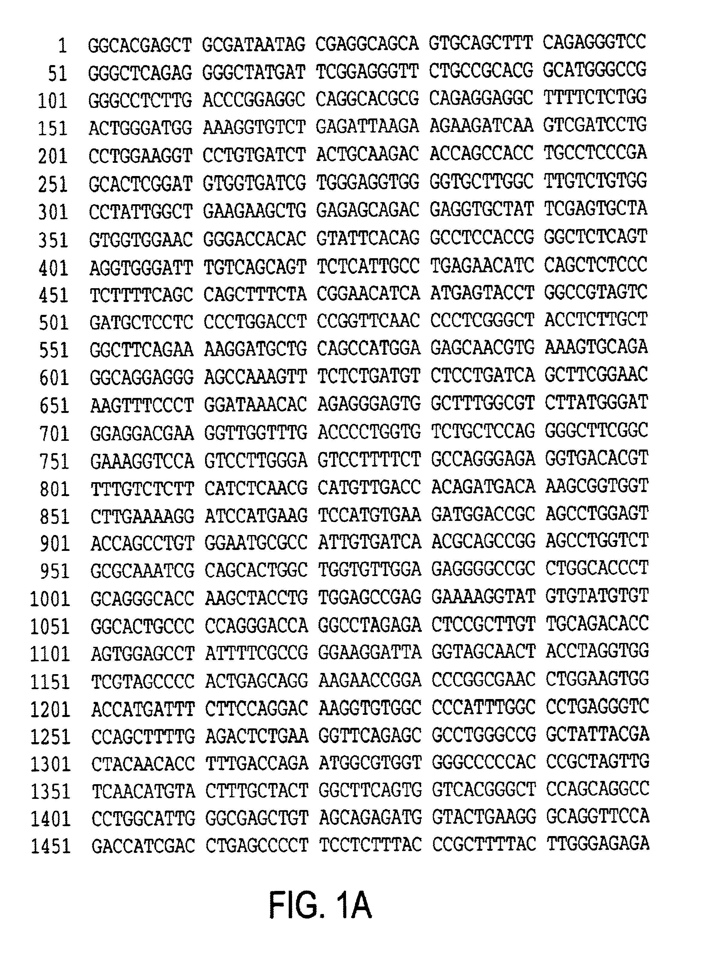 Differentially expressed genes associated with HER-2/neu overexpression