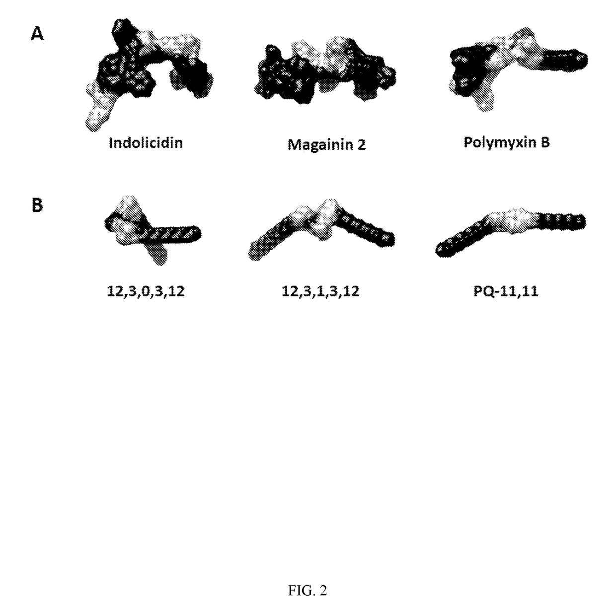 Polycationic amphiphiles as antimicrobial agents