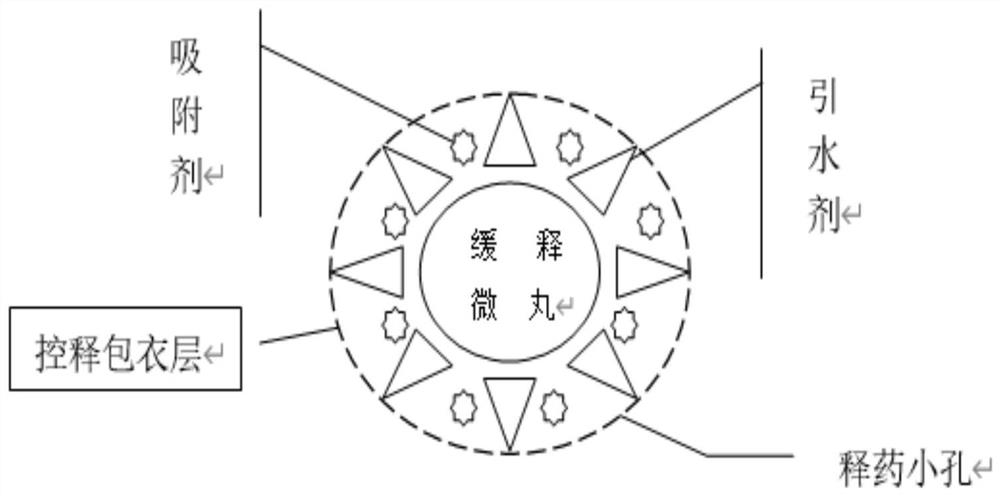 Preparation method and application of keggin type silicotungstate sustained-release capsules