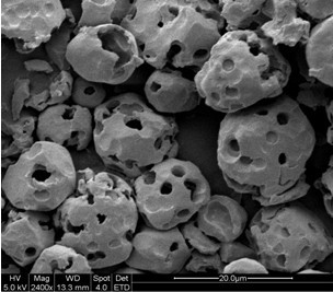 Method for preparing porous starch with high oil absorption rate through preprocessing starch