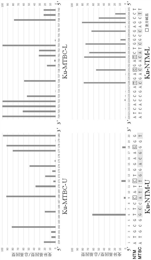 Applications of mycobacterial ku protein