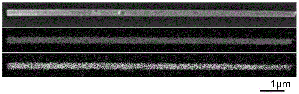 A kind of porous gold nanowire and its preparation method and application