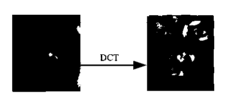 Low-rank partitioning sparse representation human face identifying method