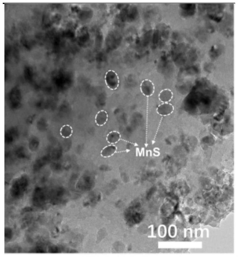 Nitrogen-doped carbon-coated manganese sulfide composite negative electrode material and preparation method and application thereof