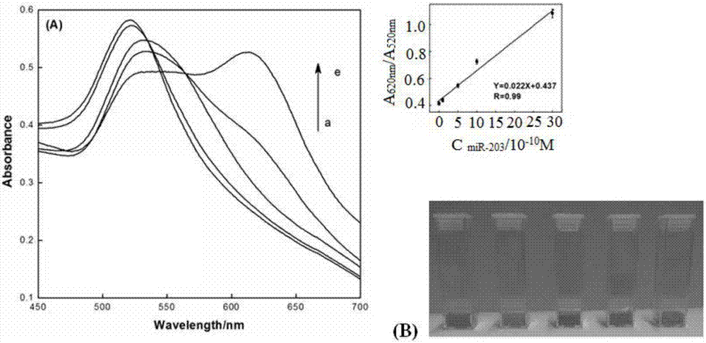 Method and probe for detecting miRNA (Ribonucleic Acid) and/or target molecule with aptamer