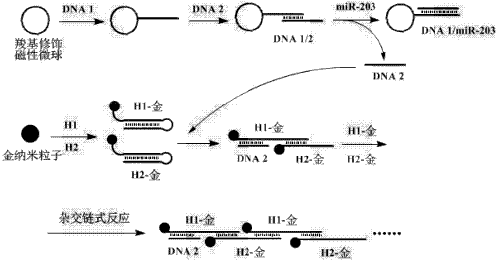 Method and probe for detecting miRNA (Ribonucleic Acid) and/or target molecule with aptamer