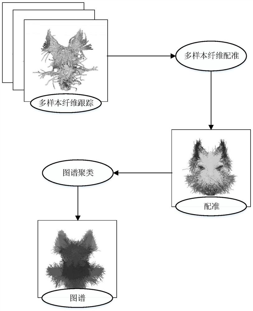 An automatic segmentation method of cranial nerves driven by large sample data