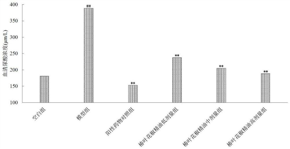 Preparation method and application of Zanthoxylum ailanthoides essential oil