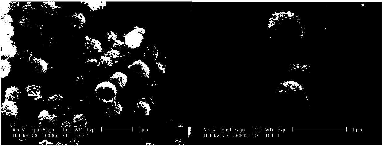 TiO2-coated CoNi nanoparticle of york-shell structure and preparation method of nanoparticle