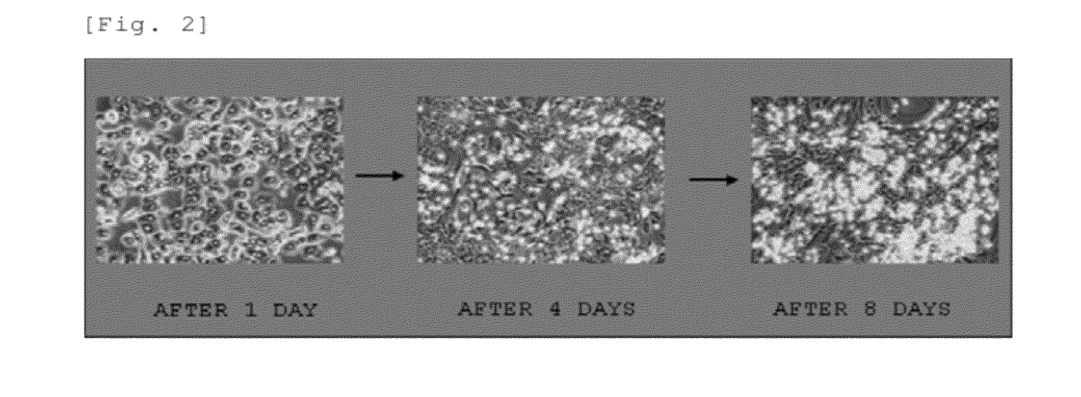 Efficient proliferation method for a kupffer cell and use thereof