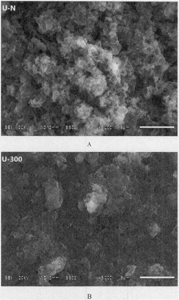 High-activity graphite-phase carbon nitride material and preparation method thereof