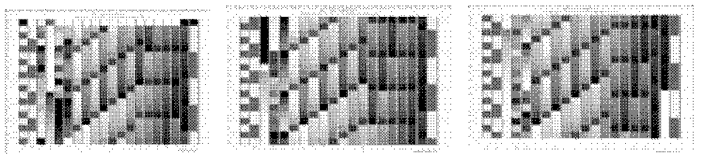 Quality evaluation method of color ink-jet paper based on multi-layer grey relational evaluation