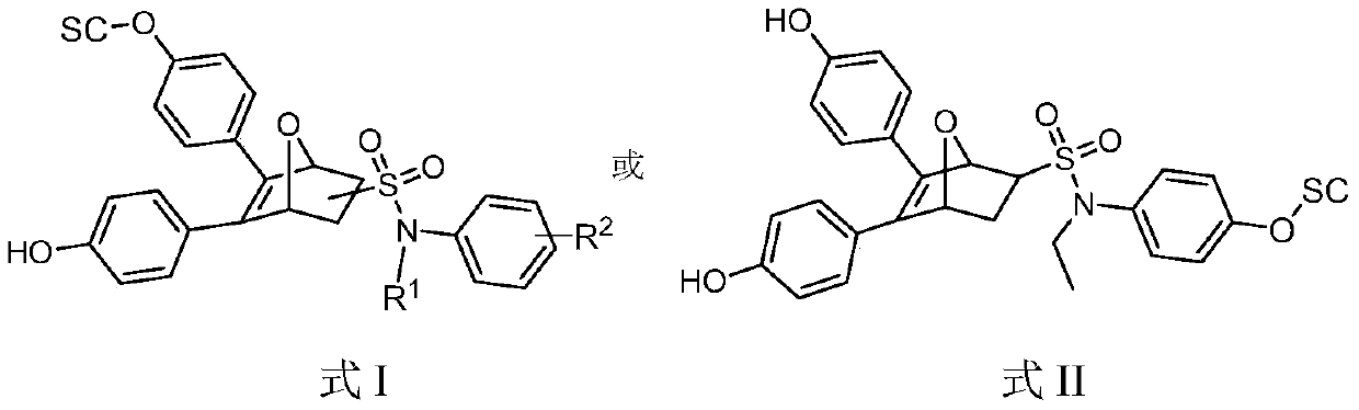 Oxygen bridge bicyclo-[2.2.1]-heptene compound containing different functional side chain structures, as well as preparation and application thereof