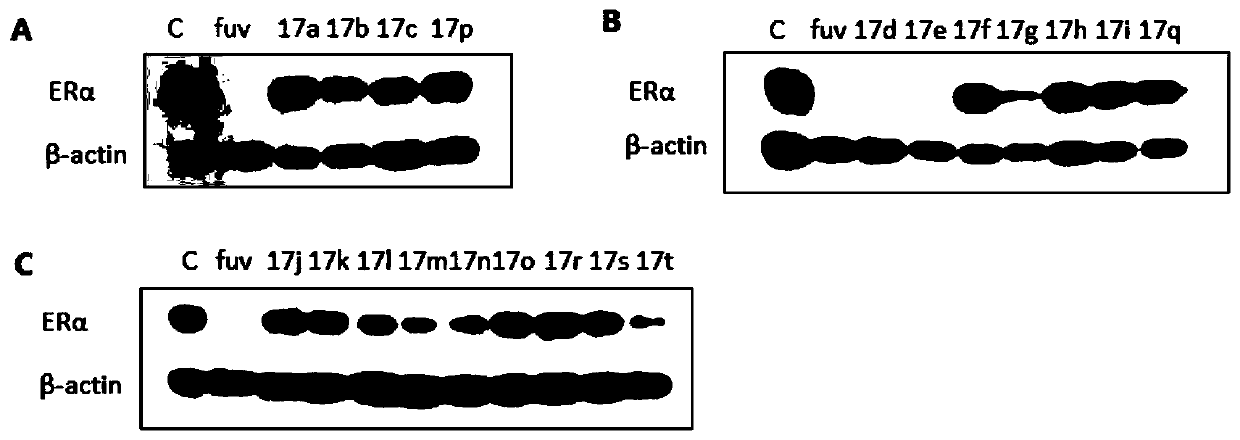 Oxygen bridge bicyclo-[2.2.1]-heptene compound containing different functional side chain structures, as well as preparation and application thereof