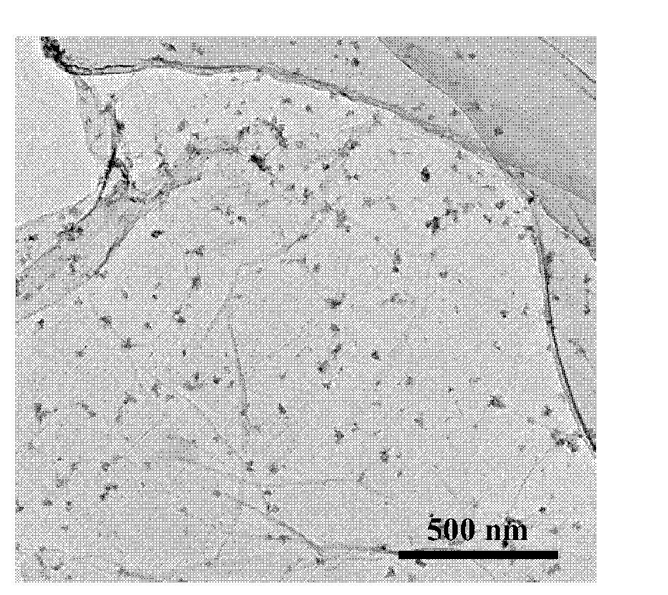 Lightweight flexible polymer-based high-energy-density material and preparation method thereof