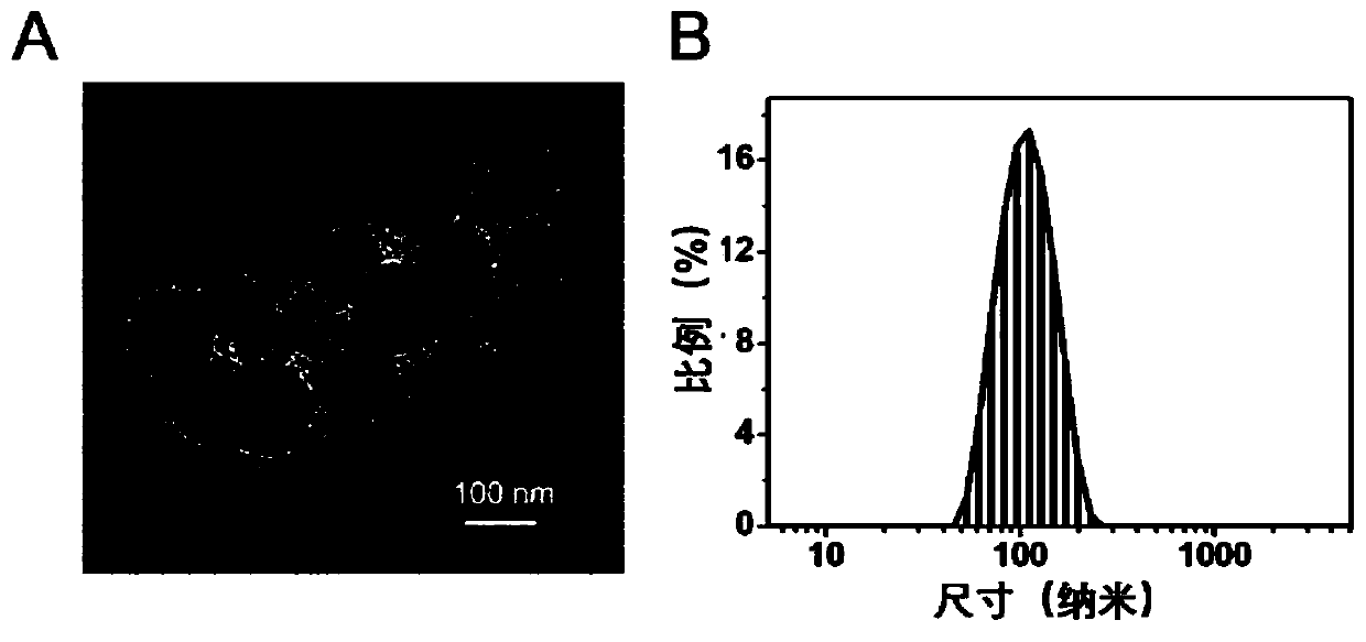 A kind of nano-drug carrier and its combination medicine for the treatment of diabetes