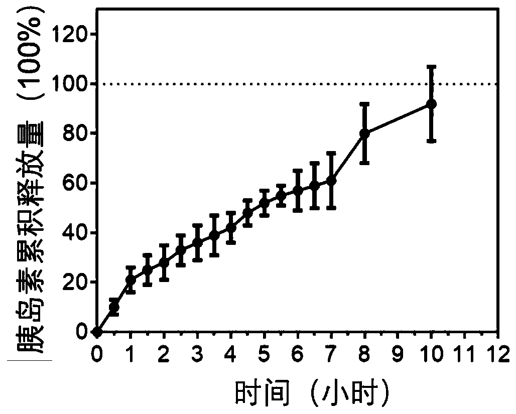 A kind of nano-drug carrier and its combination medicine for the treatment of diabetes