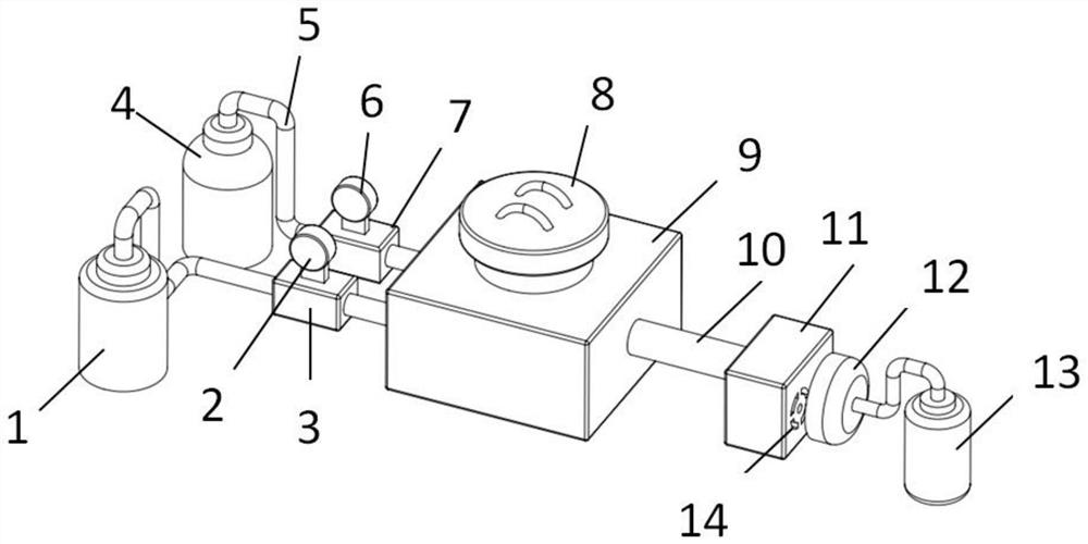 A kind of experimental animal anesthesia killing device and using method thereof