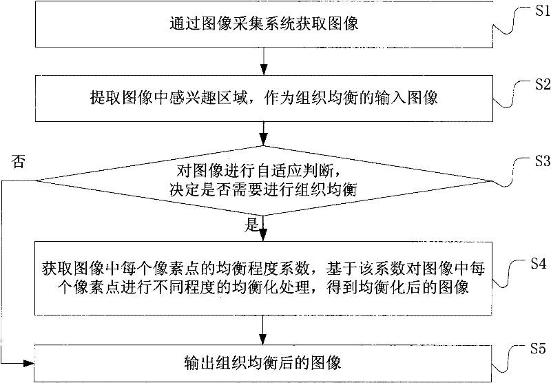 Method and device for organized equalization in image