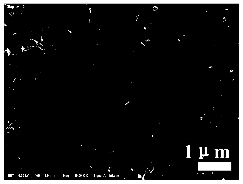 Preparation method of platinum modified titanium dioxide nanowire filter membrane