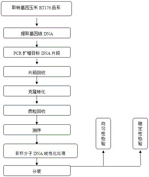 Transgenic maize BT176 nucleic acid standard sample and preparation method thereof