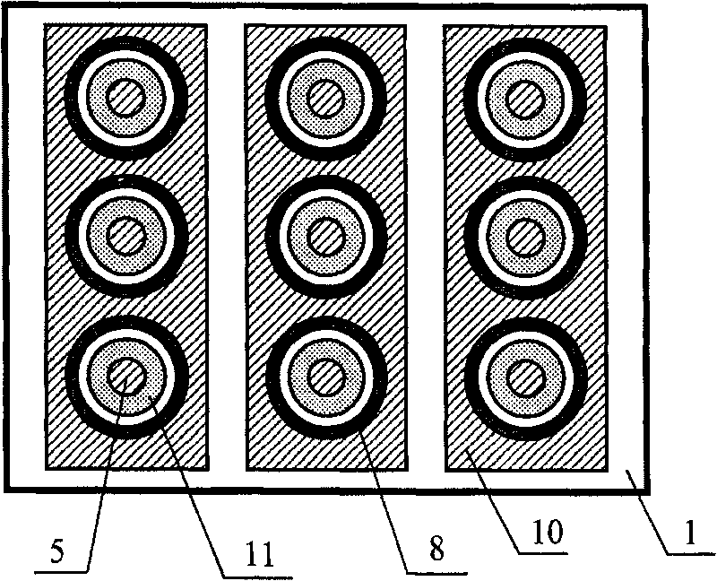 Flat-board display of arc-shape grid controlled array structure and manufacture process