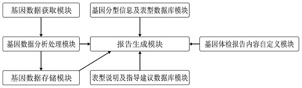 Automatic gene physical examination report generation method and system