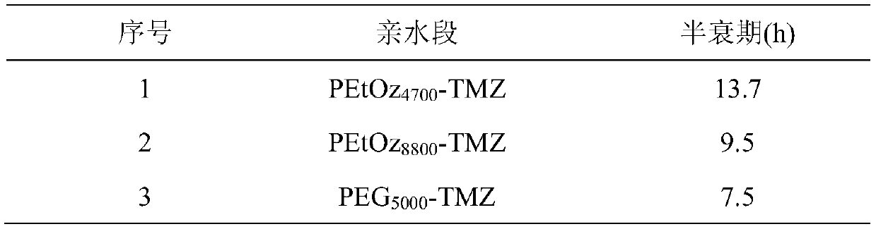 Temozolomide polymer prodrug and preparation method and application thereof