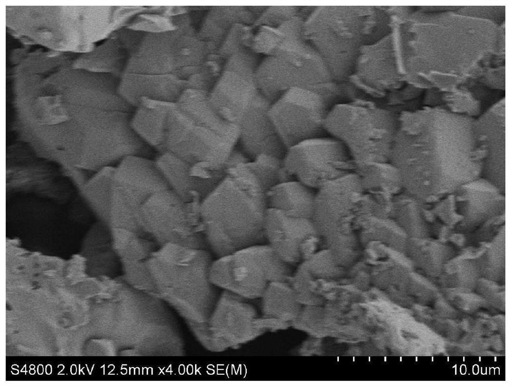 Preparation method of lycopene particles based on subcritical extraction and supercritical granulation combined process