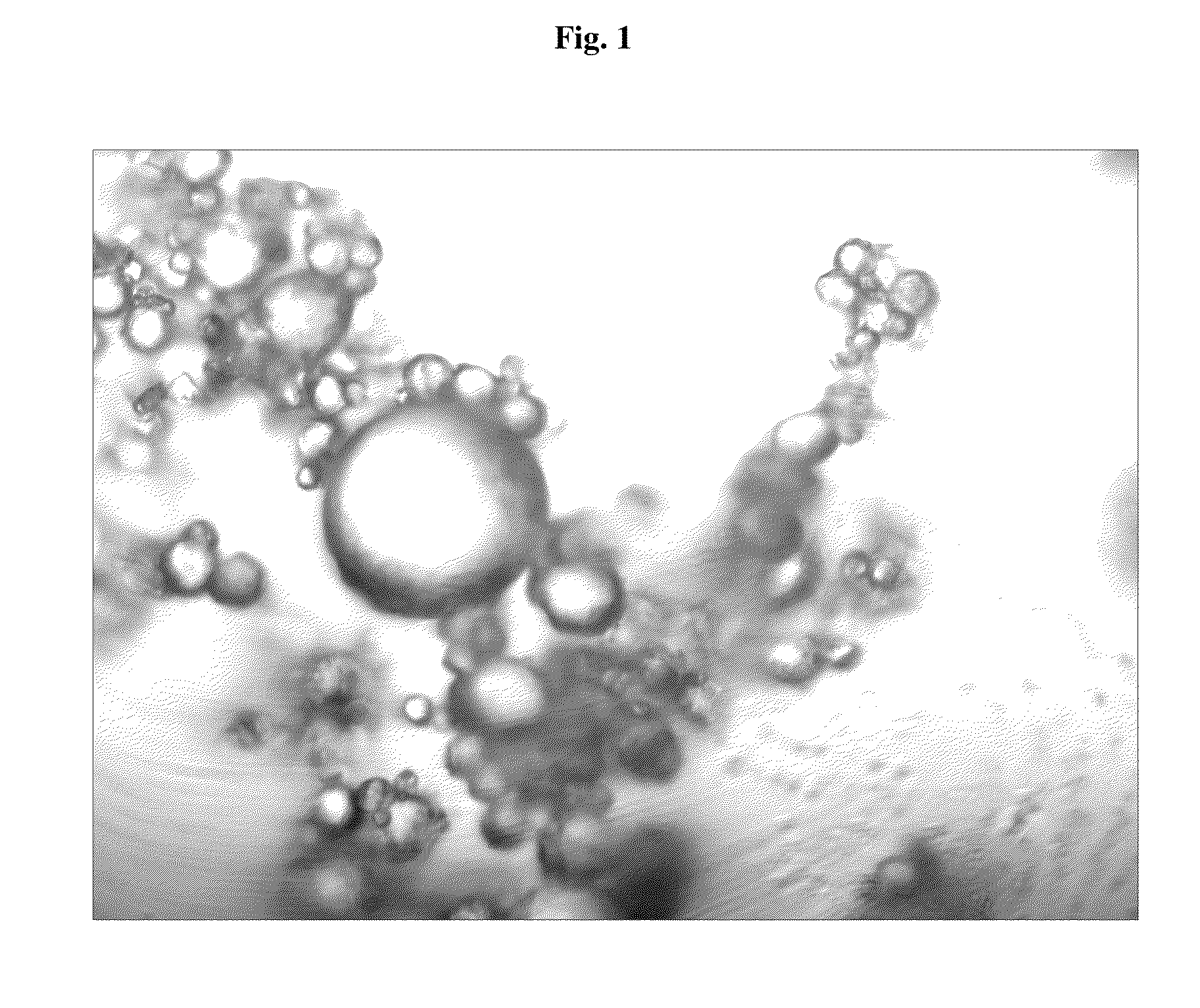 Crosslinked Polymers