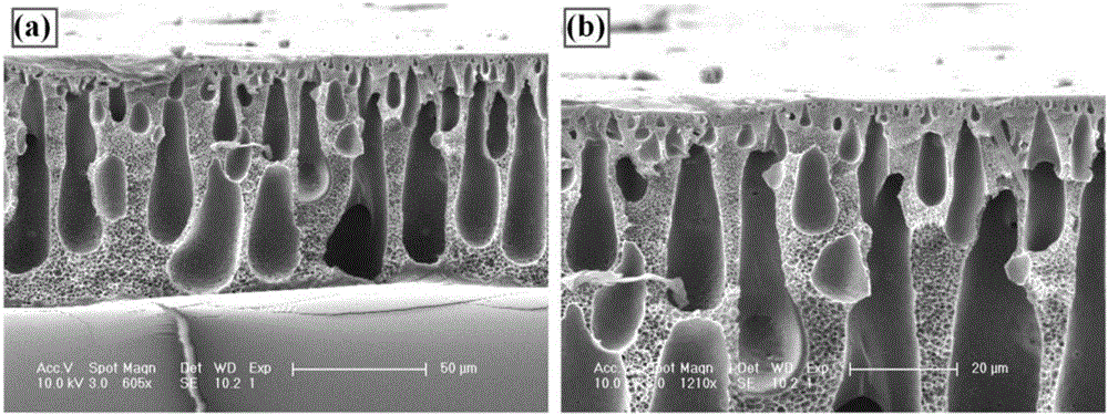 Nanofiltration membrane, and preparation method and application thereof