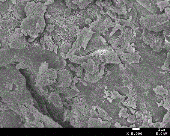 A method of treating dye wastewater by using modified straw