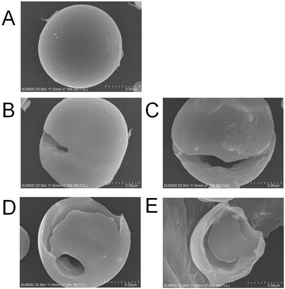 Raw starch-digesting glucoamylase, preparation method thereof and application of raw starch-digesting glucoamylase to raw starch hydrolysis and preparation of ethanol by simultaneous saccharification and fermentation of raw starch