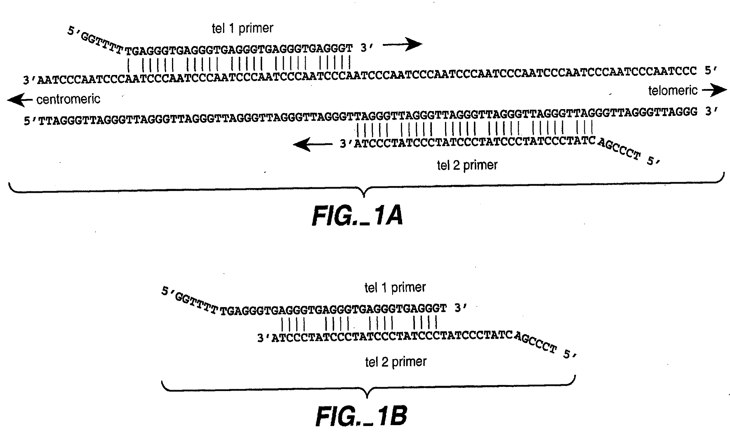 Reducing non-target nucleic acid dependent amplifications: amplifying repetitive nucleic acid sequences