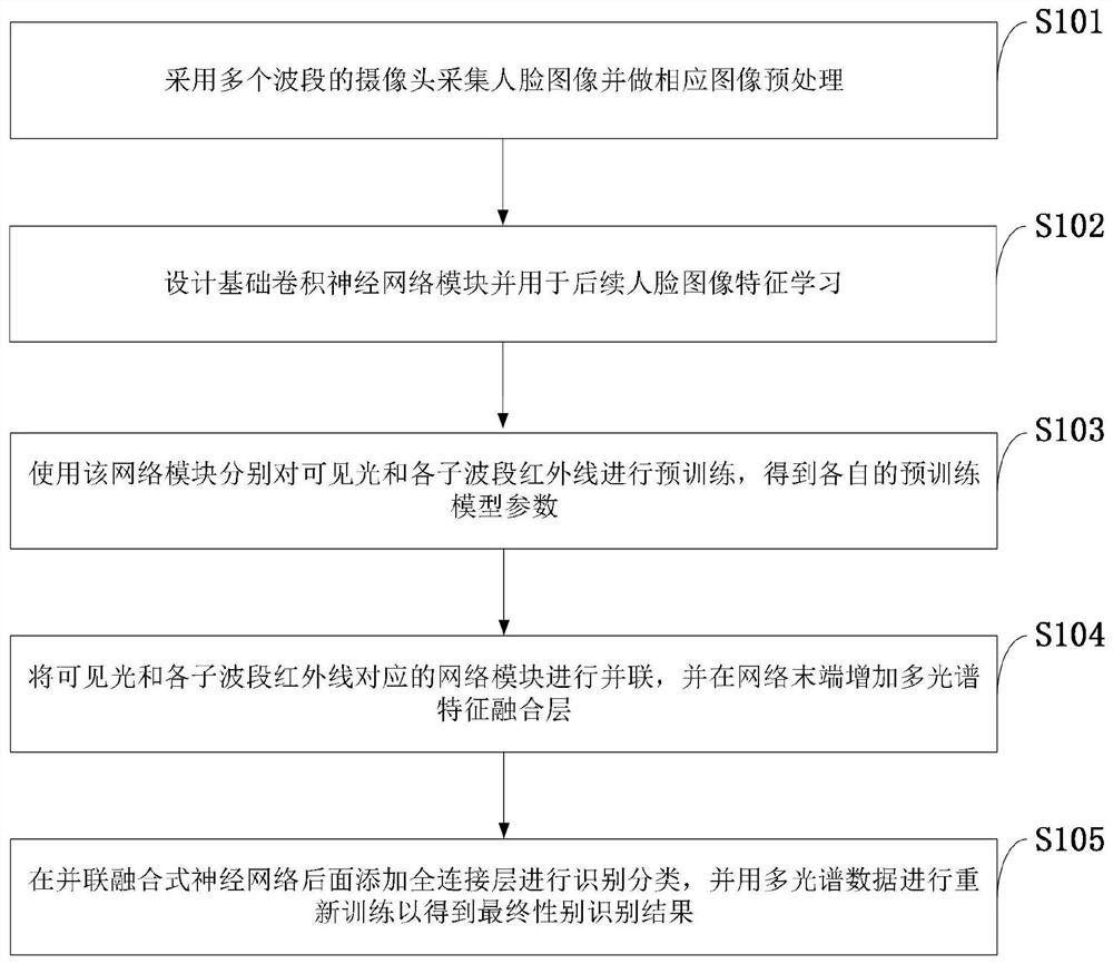 Gender identification method and system based on multispectral fusion, storage medium and terminal