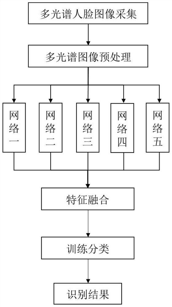 Gender identification method and system based on multispectral fusion, storage medium and terminal