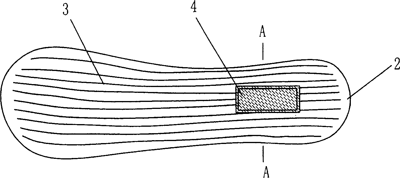 Antistatic shoes