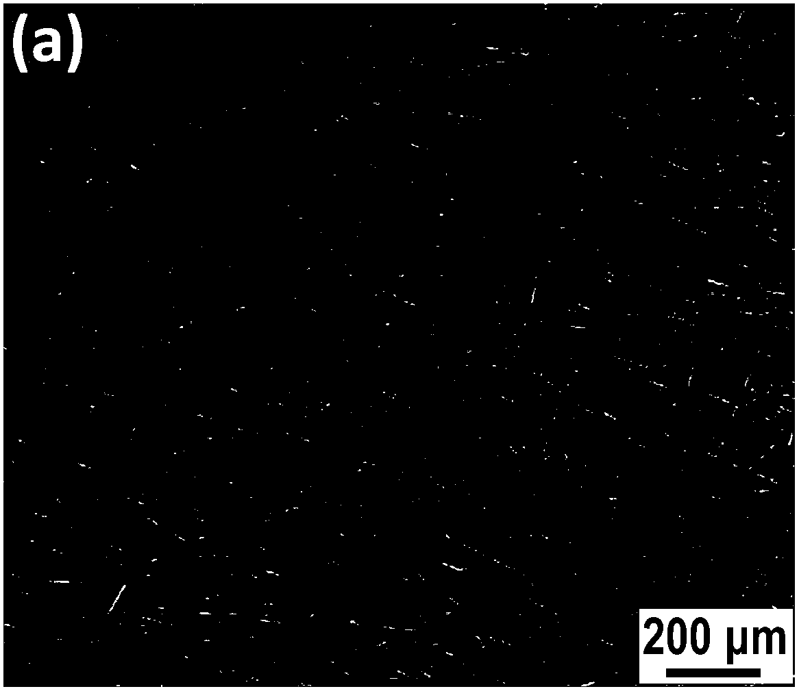 A zirconium diboride-based composite material toughened by colloid-dispersed chopped carbon fibers and its preparation method