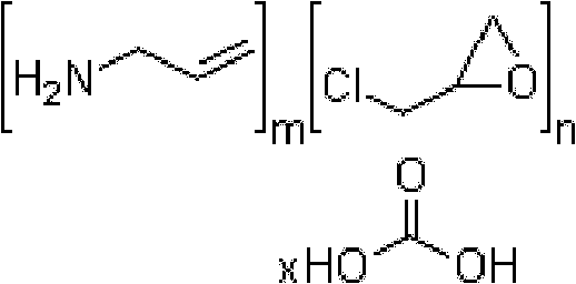 Method for measuring carbonic acid content in Sevelamer carbonate